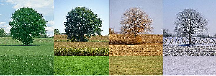 网传在被索尼收购之前Bungie曾与微软进行过谈判