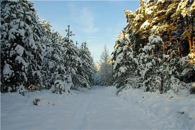 像素叙事游戏《长梦》预告公布 明年2月发售